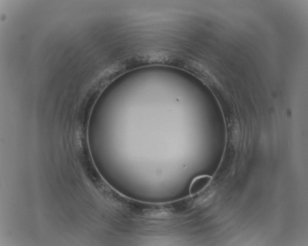 X0000074320643200609082008