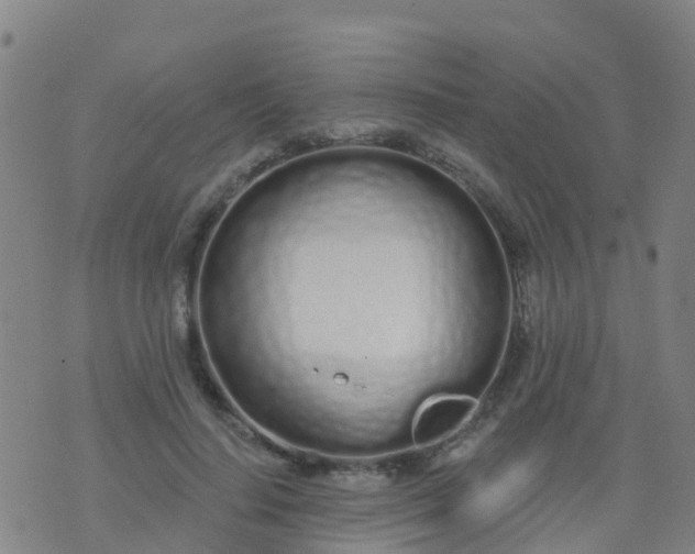 X0000074320644200609082008