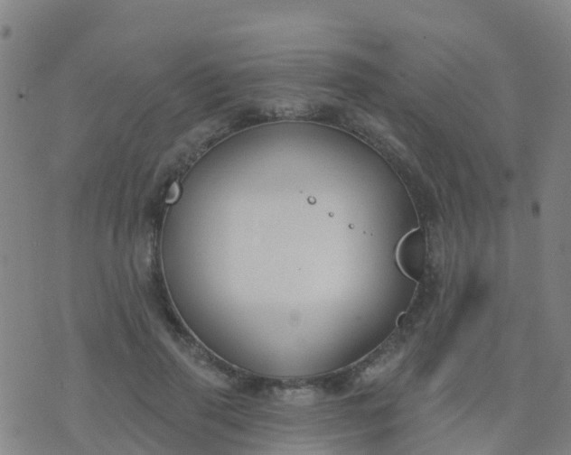 X0000074320645200609082008