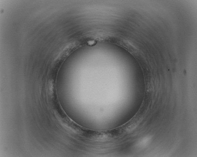 X0000074320646200609082008