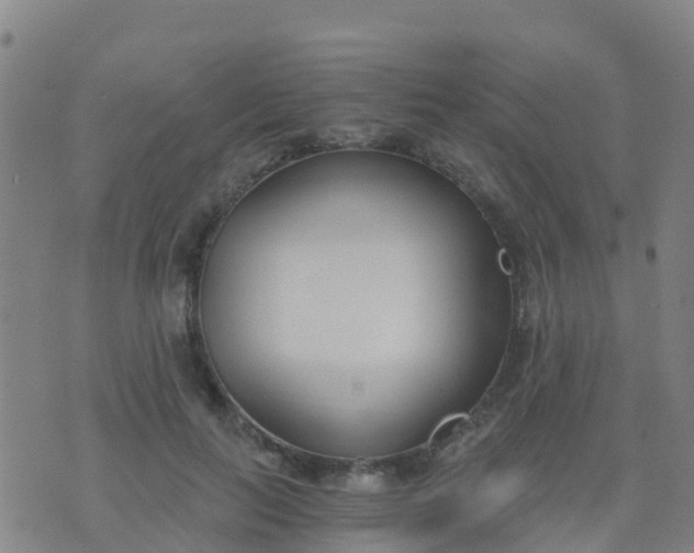 X0000074320647200609082008