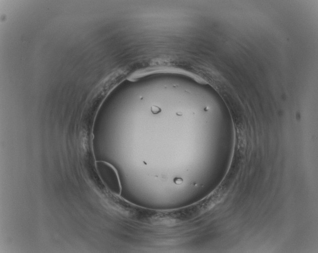 X0000074320648200609082008