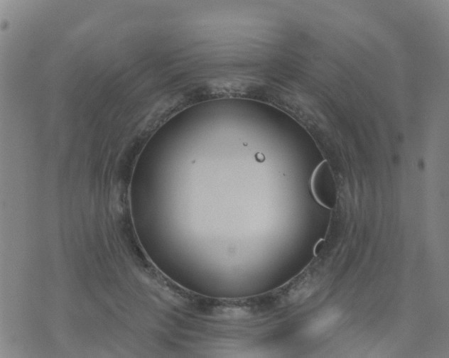 X0000074320649200609082008