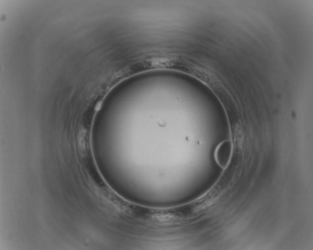 X0000074320650200609082008