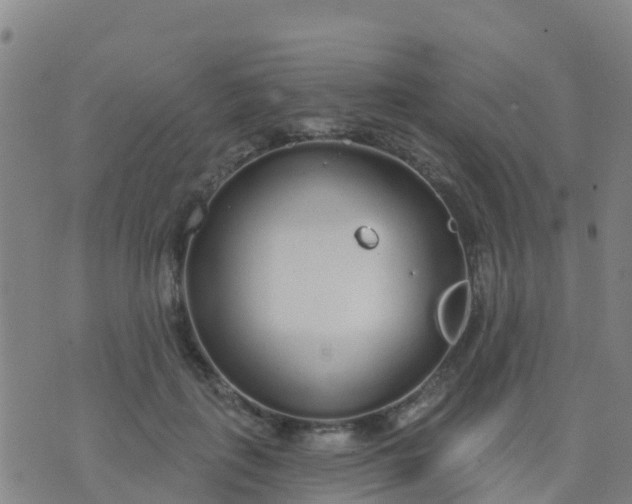 X0000074320651200609082008