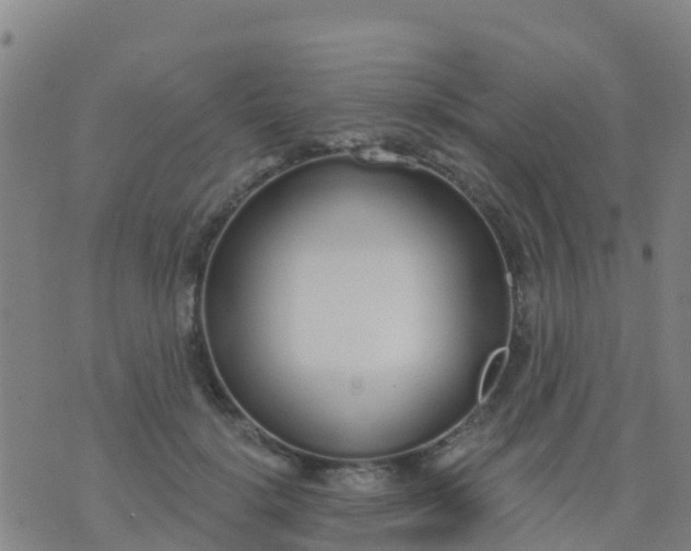 X0000074320652200609082008