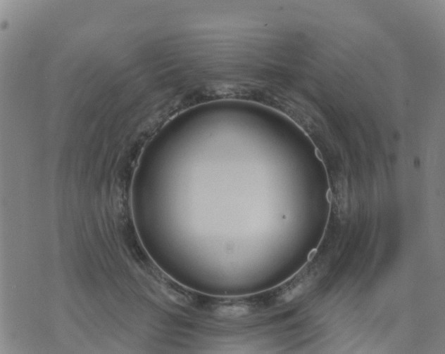 X0000074320653200609082008