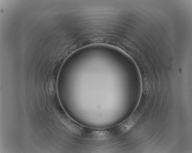 X0000074320654200609082008