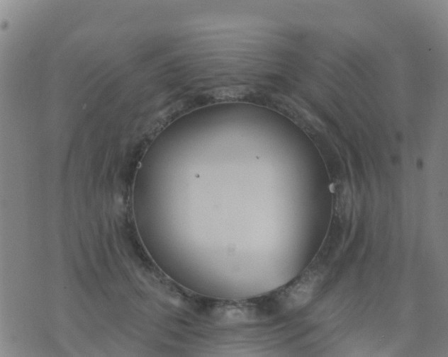 X0000074320655200609082008