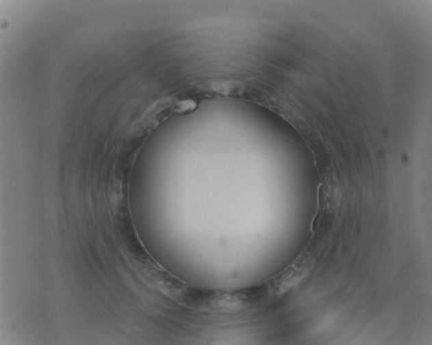 X0000074320656200609082008