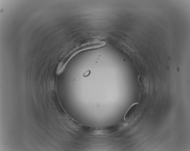 X0000074320657200609082008