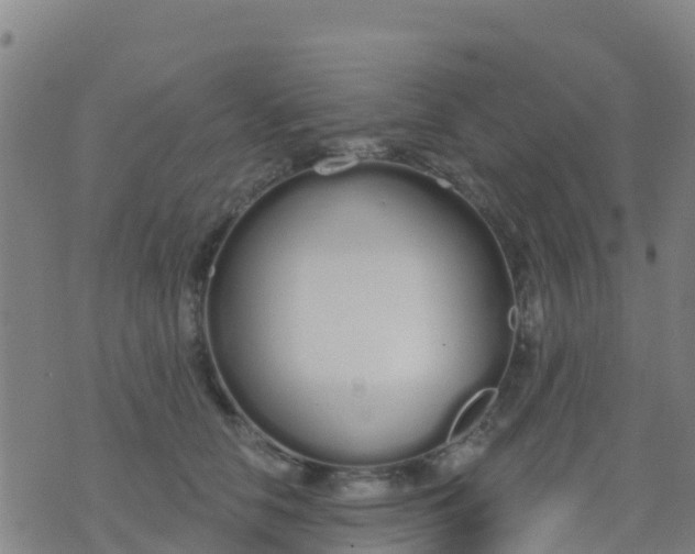 X0000074320658200609082008