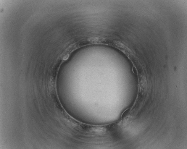 X0000074320659200609082008