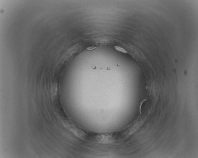 X0000074320660200609082008