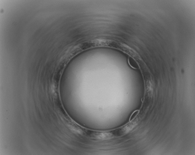 X0000074320663200609082008