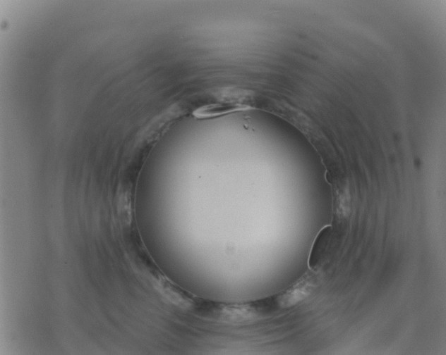 X0000074320666200609082008