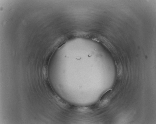 X0000074320669200609082008