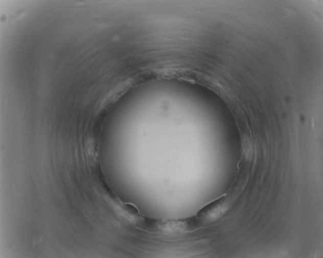 X0000074320670200609082008