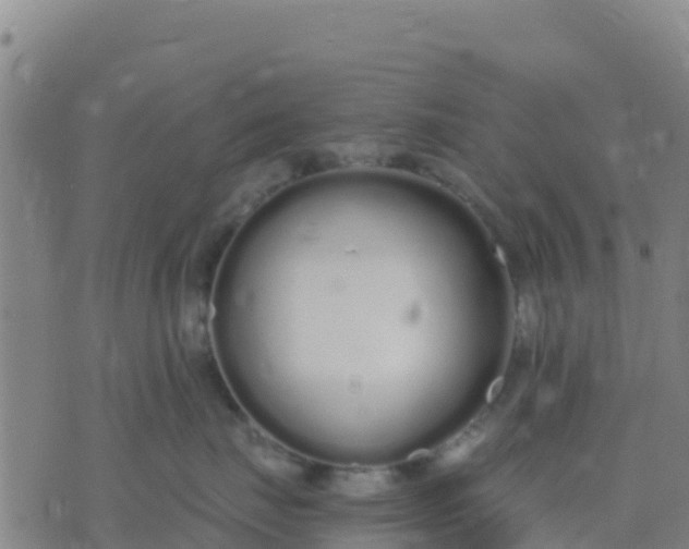 X0000074320671200609082008