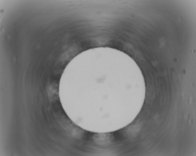 X0000074320672200609082008