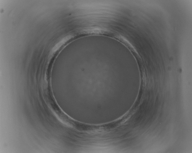 X0000074320674200609082008