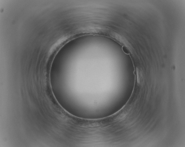 X0000074320675200609082008