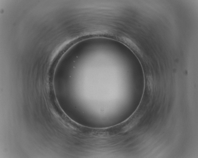 X0000074320676200609082008