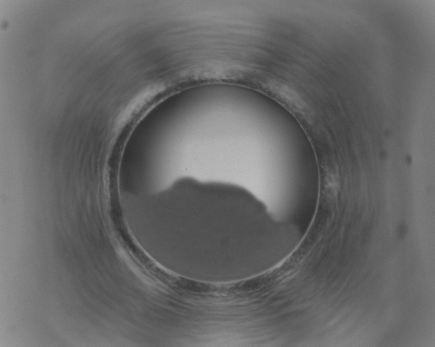 X0000074320678200609082008