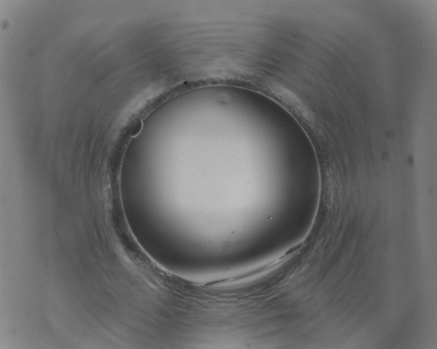 X0000074320680200609082007