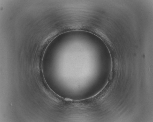 X0000074320681200609082007