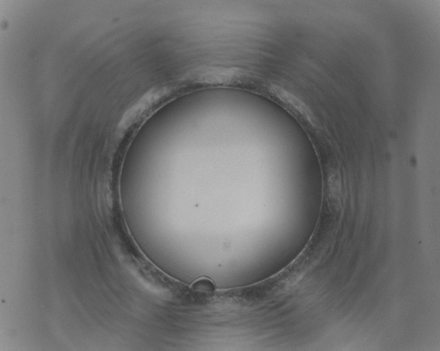 X0000074320682200609082007