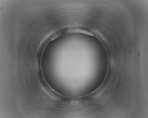 X0000074320684200609082007