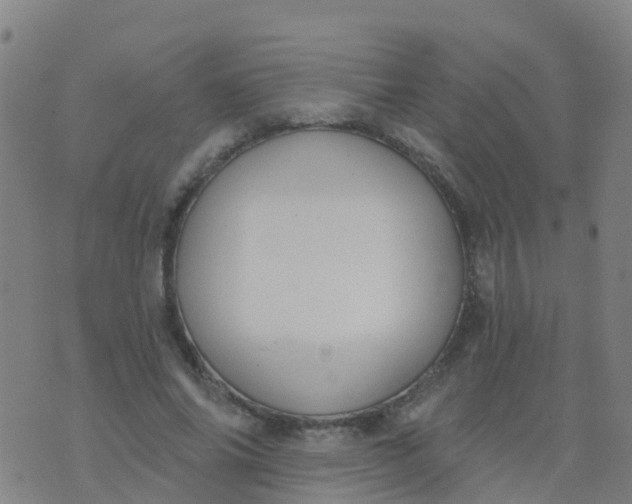 X0000074320686200609082007