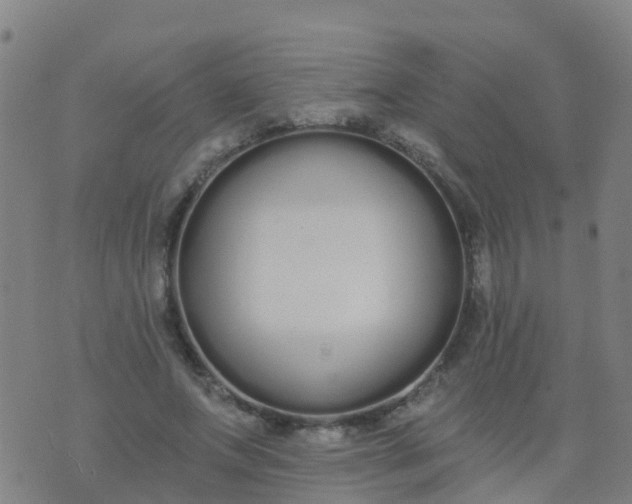 X0000074320687200609082007