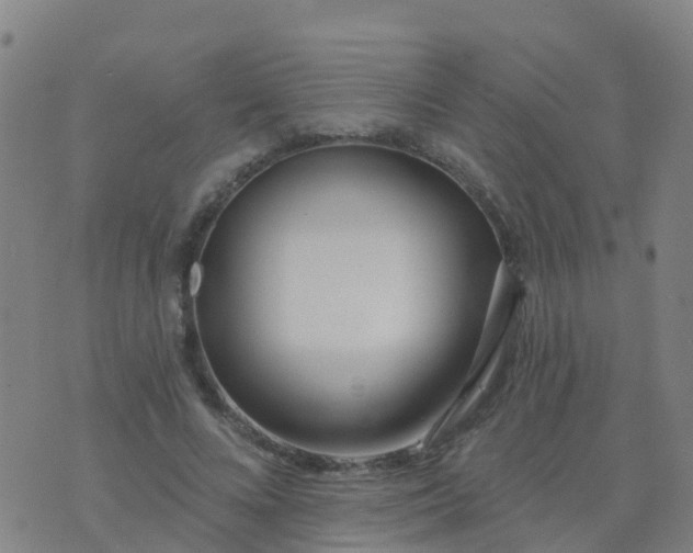 X0000074320688200609082007