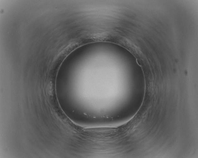 X0000074320689200609082007