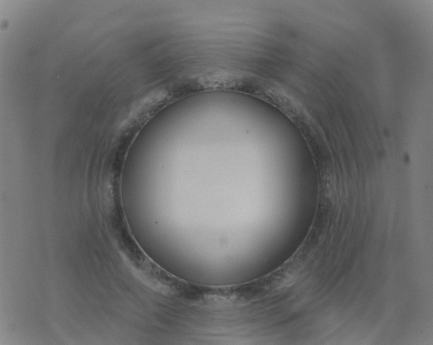 X0000074320690200609082007