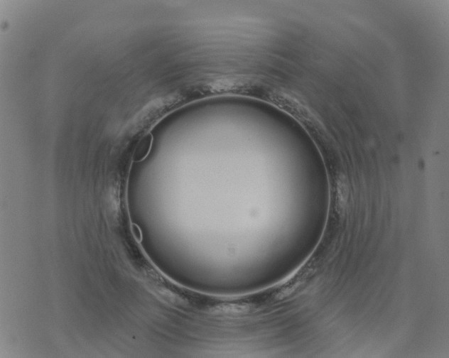 X0000074320691200609082007