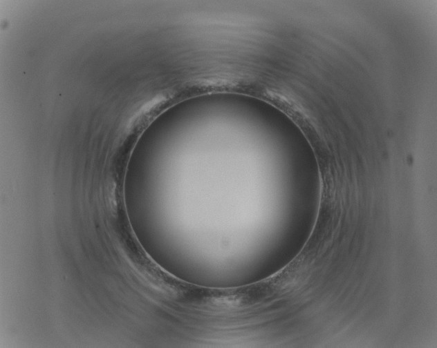 X0000074320692200609082007