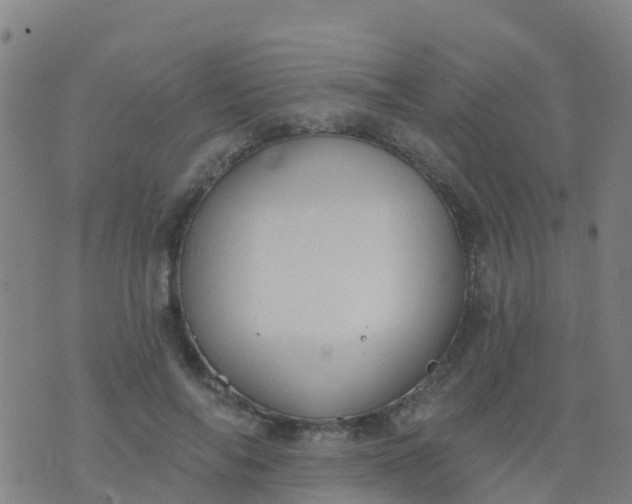 X0000074320694200609082007