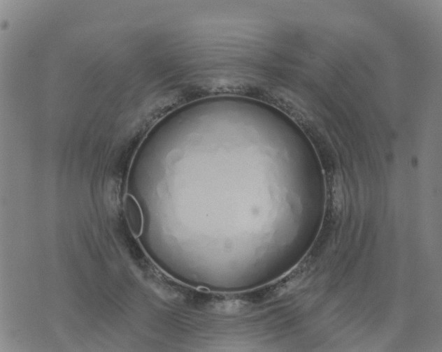 X0000074320695200609082007