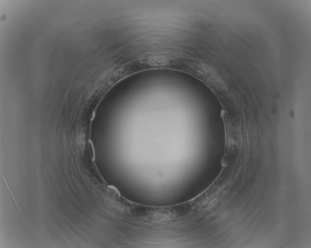 X0000074320697200609082007