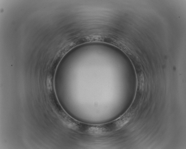 X0000074320699200609082007