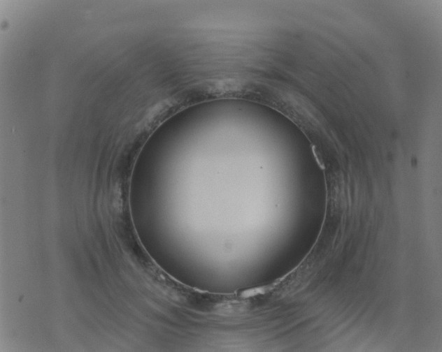 X0000074320700200609082007