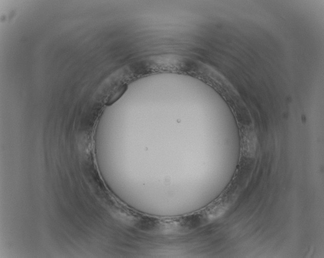 X0000074320701200609082007