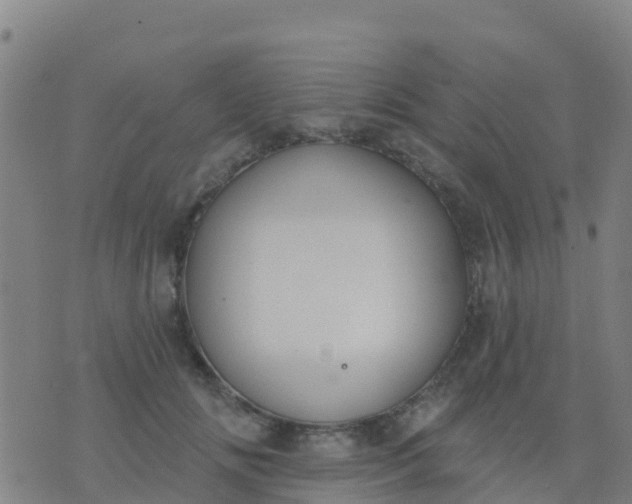 X0000074320702200609082007