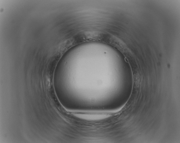 X0000074320703200609082007