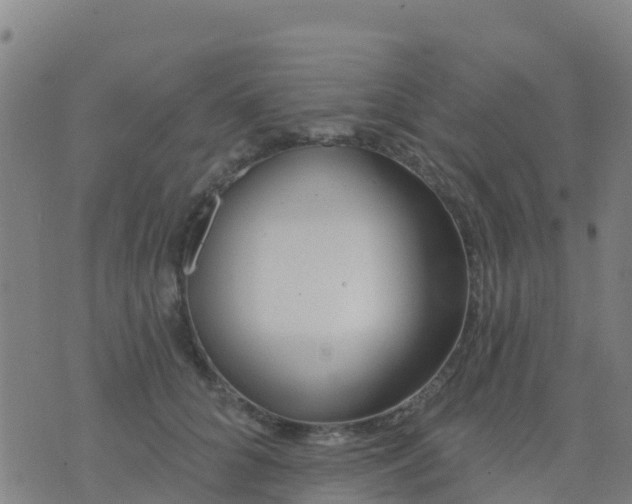 X0000074320704200609082007