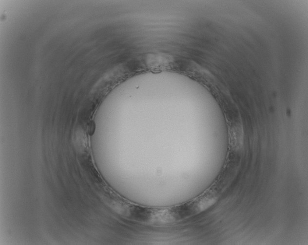 X0000074320705200609082007