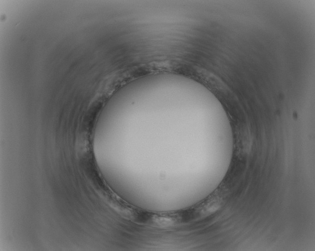 X0000074320706200609082007